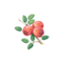 Huon Valley Council