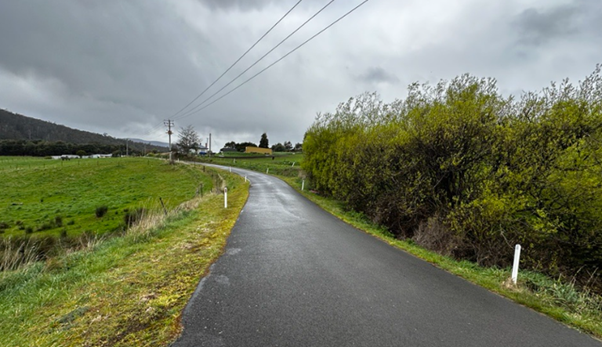 A winding country road with wet pavement leads into the distance, bordered by lush green grass and bushes. Overhead, several power lines stretch across the cloudy sky, hinting at recent rain. Hills and sparse trees are visible in the background.