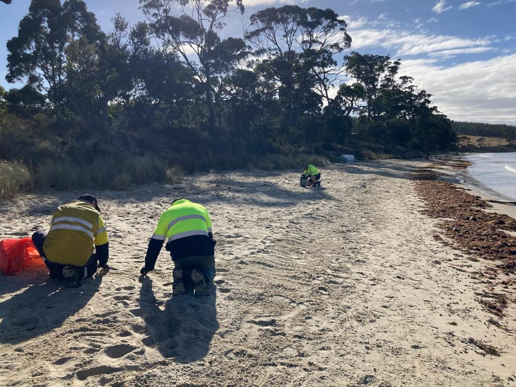 People wearing high-visibility jackets kneel on a sandy beach, possibly cleaning or inspecting the area. Trees and a body of water are in the background under a partly cloudy sky.