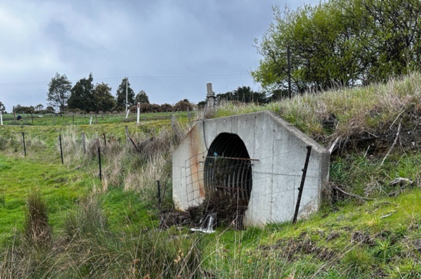 A concrete culvert entrance surrounded by grassy terrain and weeds, with a metal grate partially covering the opening. Overcast sky and greenery are visible in the background.