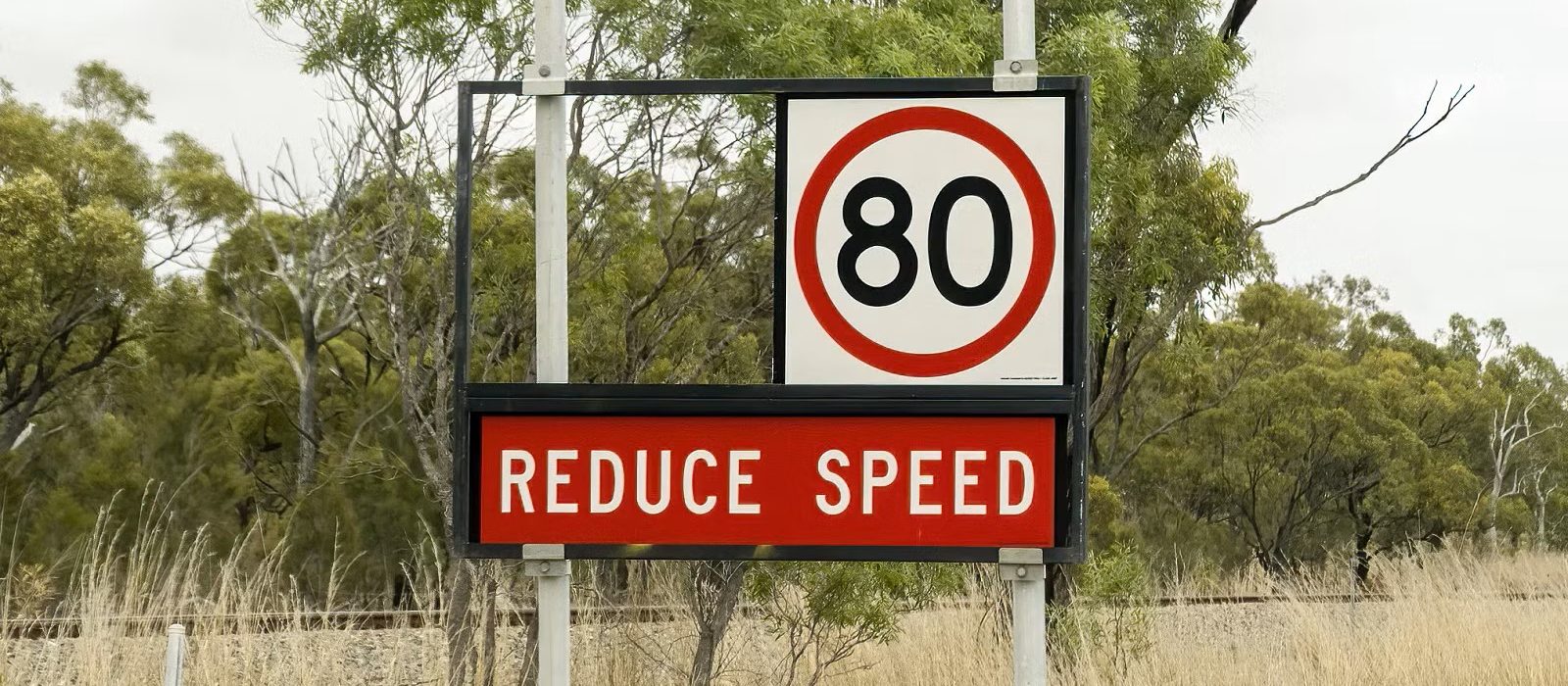 A road sign displays a speed limit of 80 in a red circle above the words REDUCE SPEED in bold white letters on a red background. The sign is surrounded by tall grass and trees under a cloudy sky.